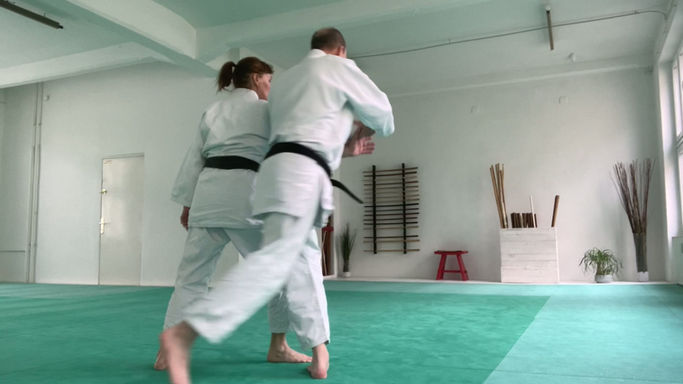 ikkyo shihonage uchikaitennage